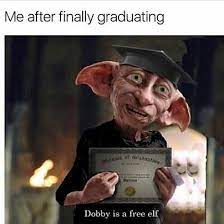 Finally Free Harry Potter Memes Facebook