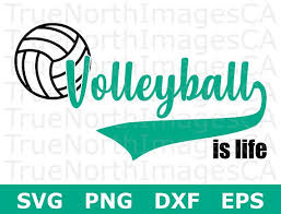 Free Free 161 Live Love Volleyball Svg SVG PNG EPS DXF File