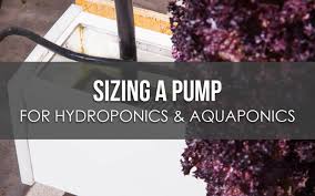 Sizing A Pump For Hydroponics Or Aquaponics Upstart University