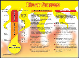 safety posters heat stress