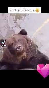 È pippo baudo l'ospite della puntata di soul del 15 febbraio 2015. Entdecke Beliebte Videos Von Pippo Baudo Tiktok