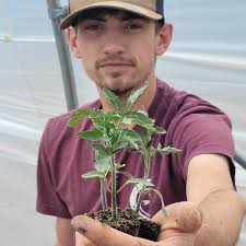 Our "Featured Vendor" this week is Better Harvest Farms who have been  selling at market since 2020! Better Harvest Farms is a small, organic,  family-run farm in Aztec, NM. Farmer Dane Parks'