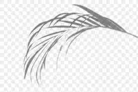Palm Leaves Shadow Design Element Free Image By Rawpixel Com Teddy Rawpixel Design Element Shadow Holography