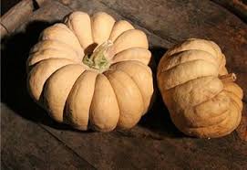 Foto Tykva Squash Kikuza Squash Heirloom Seeds Squash Pumpkin