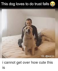 25 Best Memes About Trust Falls Trust Falls Memes