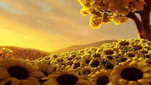 Fantasy Flower Land Sunflower Wallpaper Sunflower Fields Nature Wallpaper