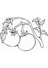page 44 sur hugolescargot com coloriage fruits tomate dessin zelda twilight princess