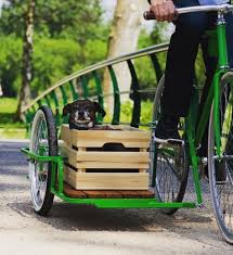 Image result for bicycle sidecar