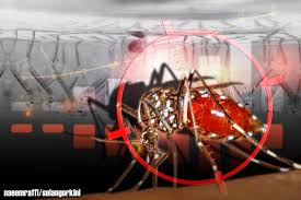 Cara yang paling berkesan adalah mengawal pembiakan nyamuk aedes. Hapuskan Aedes Kekalkan Persekitaran Bersih Selangorkini