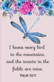 New living translation and why worry about your clothing? I Know Every Bird In The Mountains And The Insects In The Fields Are Mine Psalm 50 11 Soulperfect Books 9781729041185 Amazon Com Books