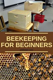How To Start Beekeeping For Beginners Beekeeping For Beginners Bee Keeping How To Start Beekeeping
