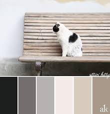A Cat Inspired Color Palette Soft Black Gray Tan Black Color Palette Neutral Color Scheme Color Palette