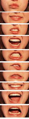 Lips Anatomy Teeth Mouth Reference Resource Human Body Human Reference Drawing Reference Anatomy Reference Figure Drawing Reference