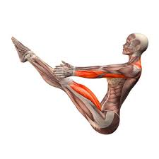 High Boat Pose Paripurna Navasana Yoga Poses Yoga Com Yoga Anatomy Yoga Muscles Yoga Fitness