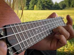 But as a beginner, you should choose some chords that are easy for you and learn them. Five Easy Ukulele Songs You Can Learn In One Day