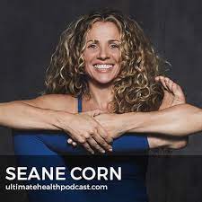 Maybe you would like to learn more about one of these? 310 Seane Corn Revolution Of The Soul Yoga Is An Art Understanding The Chakras