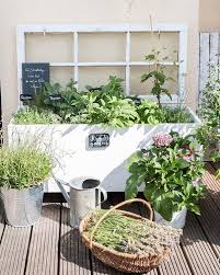 Wunsche Euch Einen Schonen Sommertag Hier Knallt Die Sonne Schon Seit Heute Morgen Runter Aber Zwischen 6 8 Uhr War Es Noch Angene Herb Garden Garten Plants
