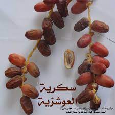 انواع التمور بالصور fruit grapes date palm