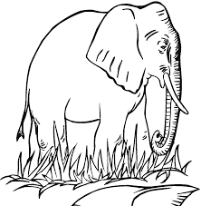 Decorative elephant coloring pages | cute cartoon elephant coloring pages. Free Printable Elephant Coloring Pages For Kids