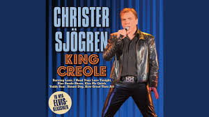 Once there, the song ended up 9th. I Ll Remember You Christer Sjogren Shazam