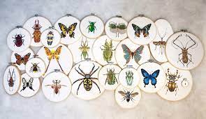 Learn how with our tips, patterns and tutorials. Fo My Giant Entomology Cross Stitch Project I Ve Been Working On This For About 9 Months And I Think I M At A Stopping Point Finally Crossstitch