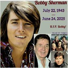 Here Come The Brides cast members David Soul, Robert Brown and Bobbt  Sherman. Who was your favorite?