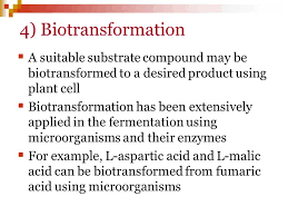 May 06, 2017 · 1. Ert211 Biochemical Engineering Course Outcome Ability To Describe The Usage And Methods For Cultivating Plant And Animal Cell Culture Ability To Discuss Ppt Download