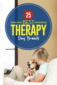 Pin On Dog Breeds