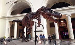 Argonne's x-ray beam shines