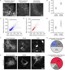 09/07/2020 produced by mr.n directed by shxtz follow tpk & res_listen tpk instagram 13/02/21 ( hbd to me ) produced : Frontiers Enhanced Unag With Minimal Labeling Artifact For Single Molecule Localization Microscopy Molecular Biosciences
