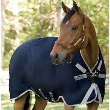 horseware ireland rambo medium weight wug turnout blanket