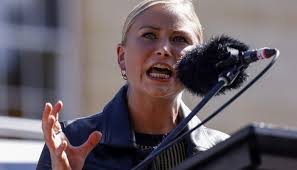 Jane Gilmore's Portfolio