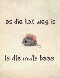 Idiome Afrikaans Is Maklik Afrikaans Afrikaans Quotes Afrikaans Language