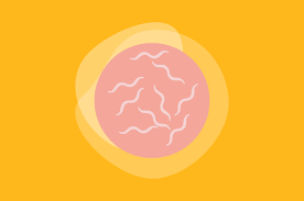 Ini bermakna mereka menumpang hidup dari hidupan yang lain. Awas Infeksi Cacing Kremi Bisa Timbulkan Masalah Pada Miss V