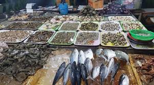 Tọa lạc tại quận 8 thành phố hồ chí minh, đây là nơi bán sỉ lẻ đồ khô với số lượng lớn mỗi ngày. Háº£i Sáº£n Gia Sá»‰ TÆ°Æ¡i Sá»'ng Gia Ráº» Hang Ä'áº§u Tphcm