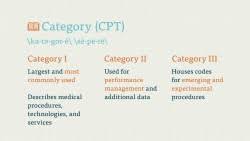 Learn Medical Terminology And Human Anatomy