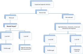 A Case Report Of Hirschsprung S Disease Presenting As Sigmoid Volvulus And Literature Review Tikur Anbessa Specialized Hospital Addis Ababa Ethiopia Bmc Surgery Full Text