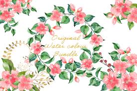 Download and upload svg images with cc0 public domain license. Watercolour Flower Clipart Bundle Graphic By The Paper Princess Creative Fabrica