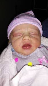 Memorial Service for Ray Davis will be Saturday October 5th at 1:00 pm in  the shop by Tom's Meats in Garfield, Wa. Wear your Zags gear & bring a  designated driver as