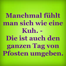 Lustige Spruche Und Lustige Zitate Fur Alle Lebenslagen Lustige Spruche Spruche Coole Spruche