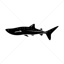 Free Free 179 Whale Shark Svg Free SVG PNG EPS DXF File