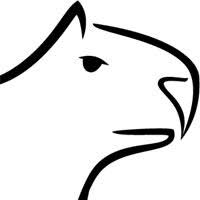 21 best coloring images on pinterest. Capybara Coloring Pages Surfnetkids