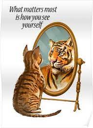 Cat And Tiger Mirror Message Poster Cute Cats And Dogs Cute Cat Wallpaper Cute Animals