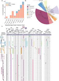 Select picture or schematic to display. A Novel And Expanding Sars Cov 2 Variant B 1 526 Identified In New York Medrxiv