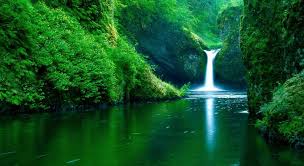 Nature Wallpapers For Desktop Backgrounds Full Screen Wallpaper Cave Hd photos nature full hd 1080p. nature wallpapers for desktop