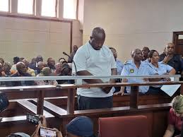 A 22-year-old scholar transport driver, Ayanda Dludla, appeared before the  Vanderbijlpark Magistrates' Court today, where he abandoned his bail  application. Dludla faces 14 counts of murder, three counts of attempted  murder, as