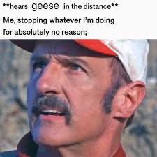 Mike Griffin Outdoors