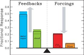 Carbon Dioxide Controls Earths Temperature