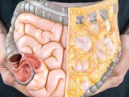 Aug 10, 2020 · for example, after you drink a glass of water, it's estimated that only 50 percent. Digestion Duration Process And Tips