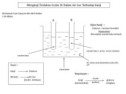 Beberapa orang mungkin menganggap air liur steril atau desinfektan, sehingga percaya. Mengkaji Tindak Balas Kanji
